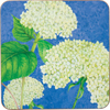 White Hydrangea 